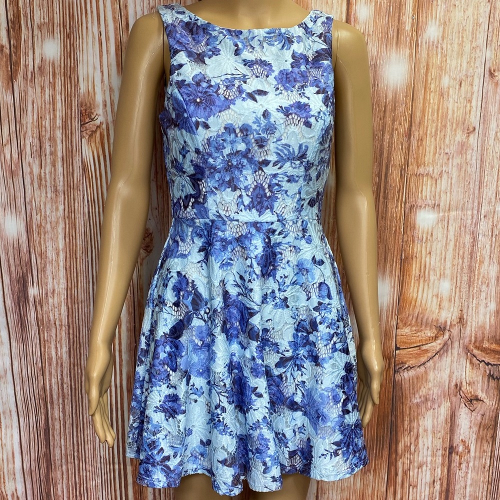 Speechless Floral Lace‎ Skater Dress